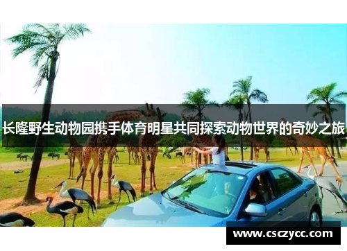 长隆野生动物园携手体育明星共同探索动物世界的奇妙之旅